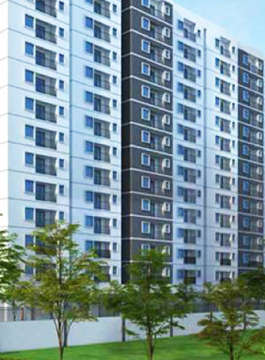 alliance-jasmine springs