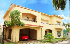 Alliance Bougainvillea Papanthangal