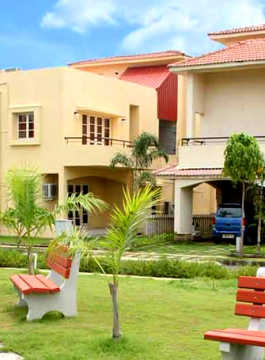 alliance-bougainvillea