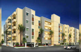 alliance-garden front