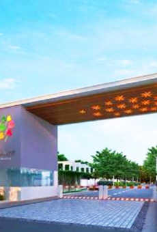 Alliance Garden Front