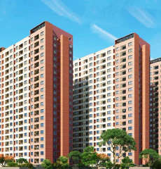 codename-gold standard