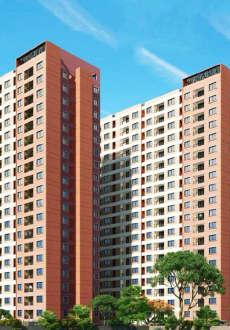 codename-gold standard