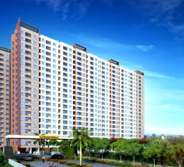 codename-gold standard