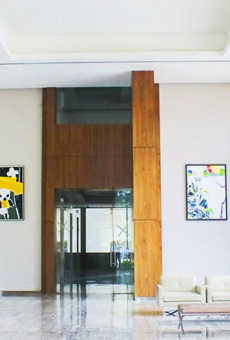 The Wadhwa W54
