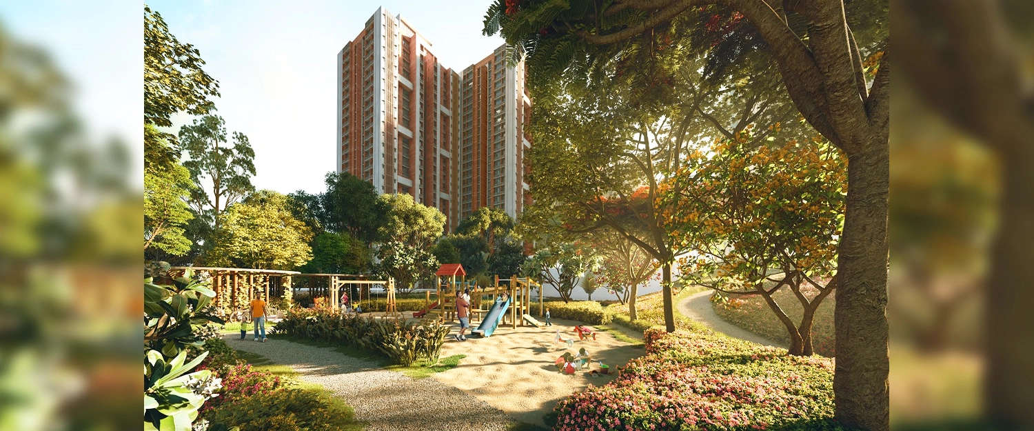 Play Area