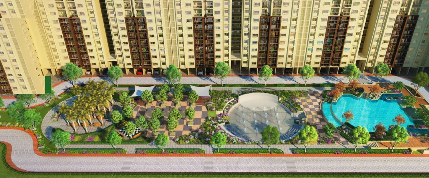 Outdoor Amenities