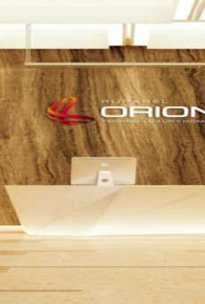 Ruparel Orion