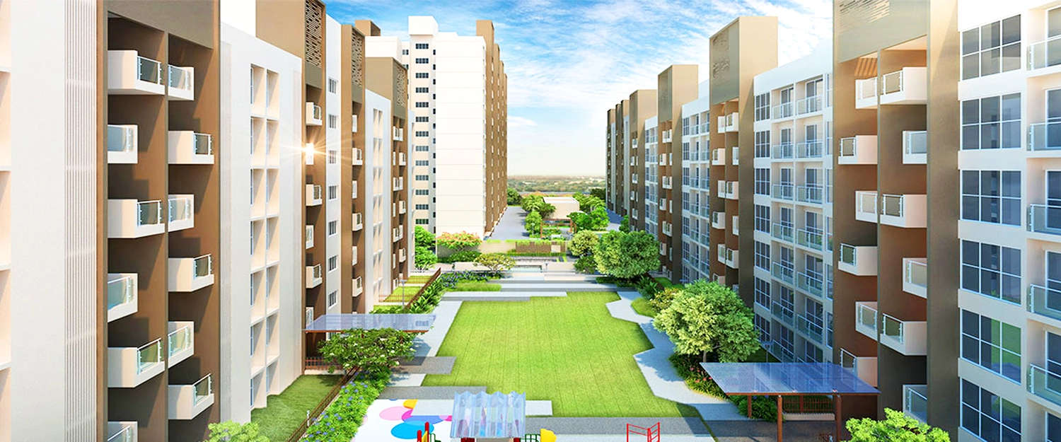 Outdoor Amenities