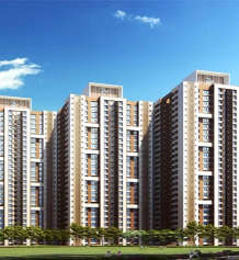 wadhwa-codename wow
