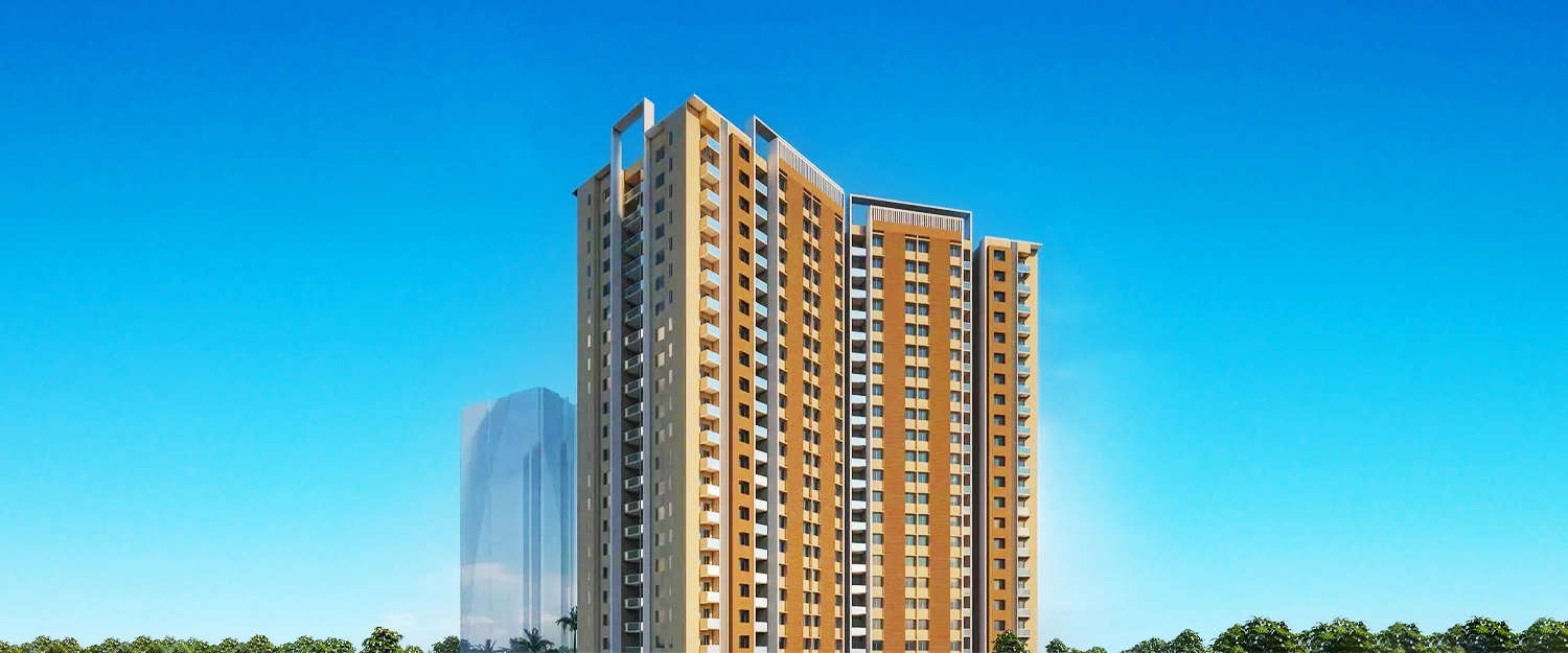 Elevation Image