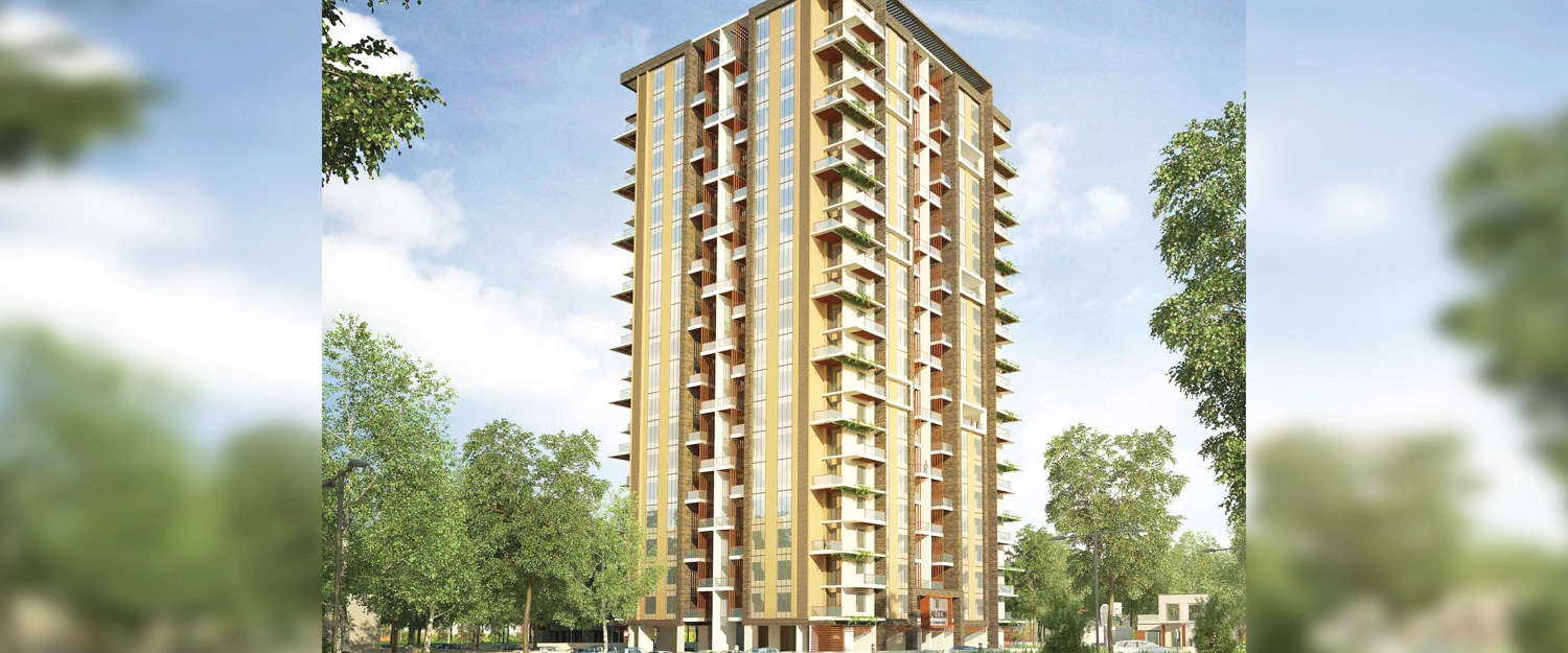 Elevation Image