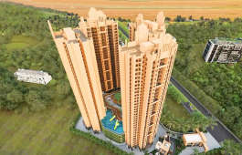 sai-proviso gemstone