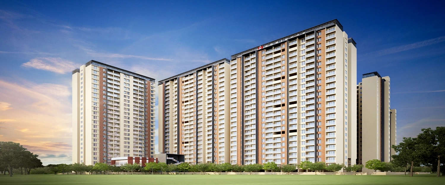Elevation Image