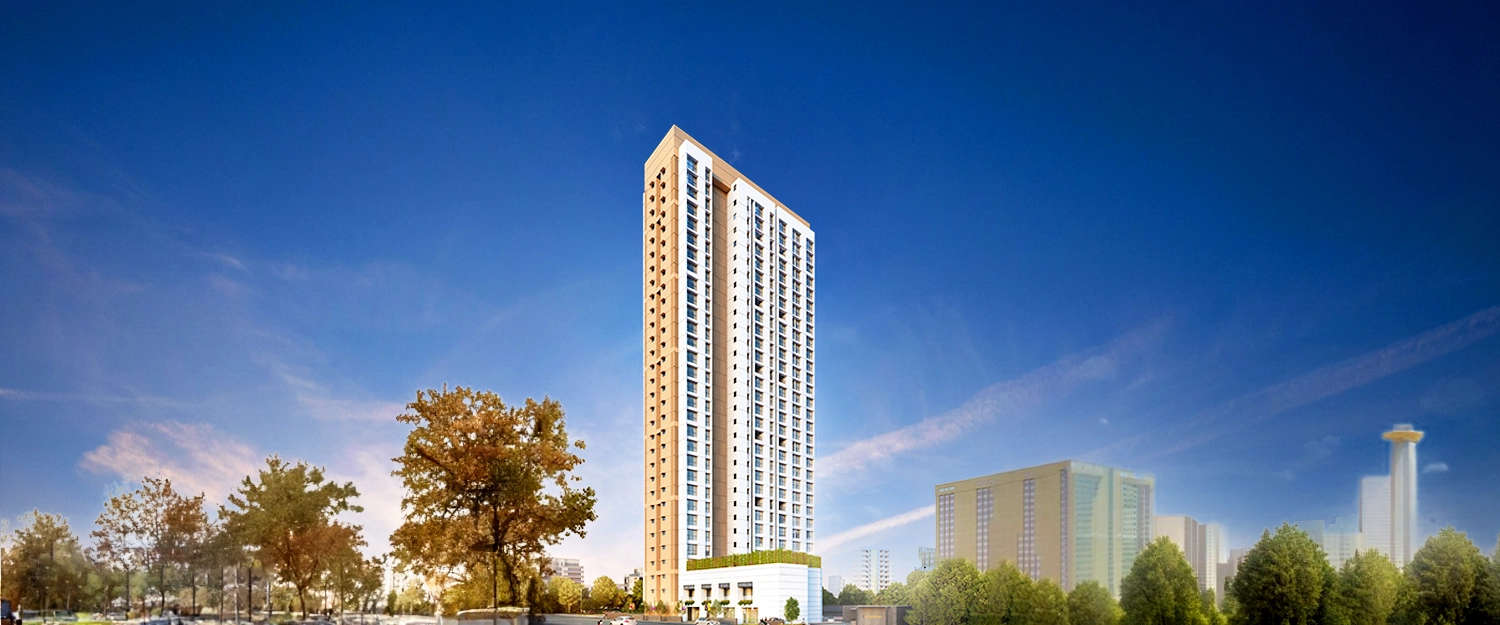 Elevation Image