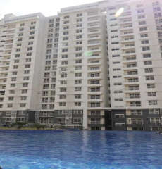 purva-palm beach