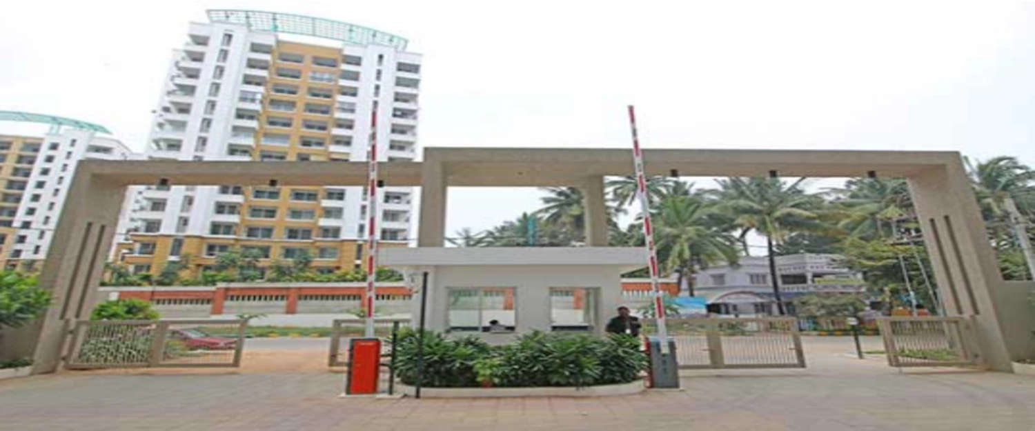 Project Entrance View
