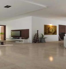 puravankara-sky condos