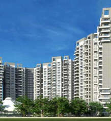 purva-park hill