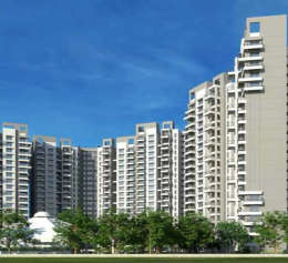 purva-park hill