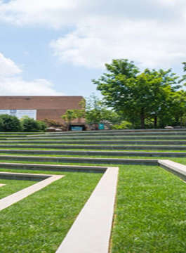 shapoorji-pallonji orion northern lights