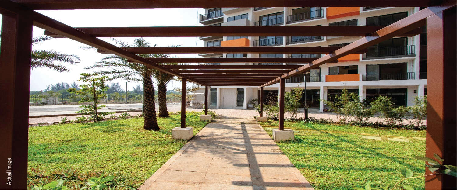 Outdoor Amenities