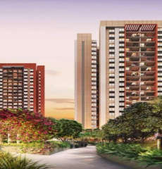 shapoorji-pallonji signia