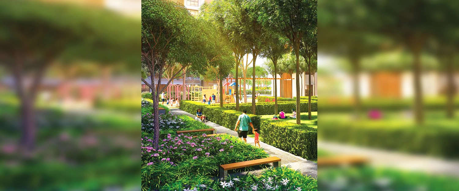 Park