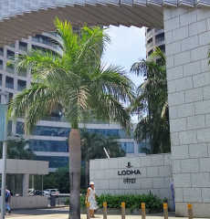 lodha-world towers