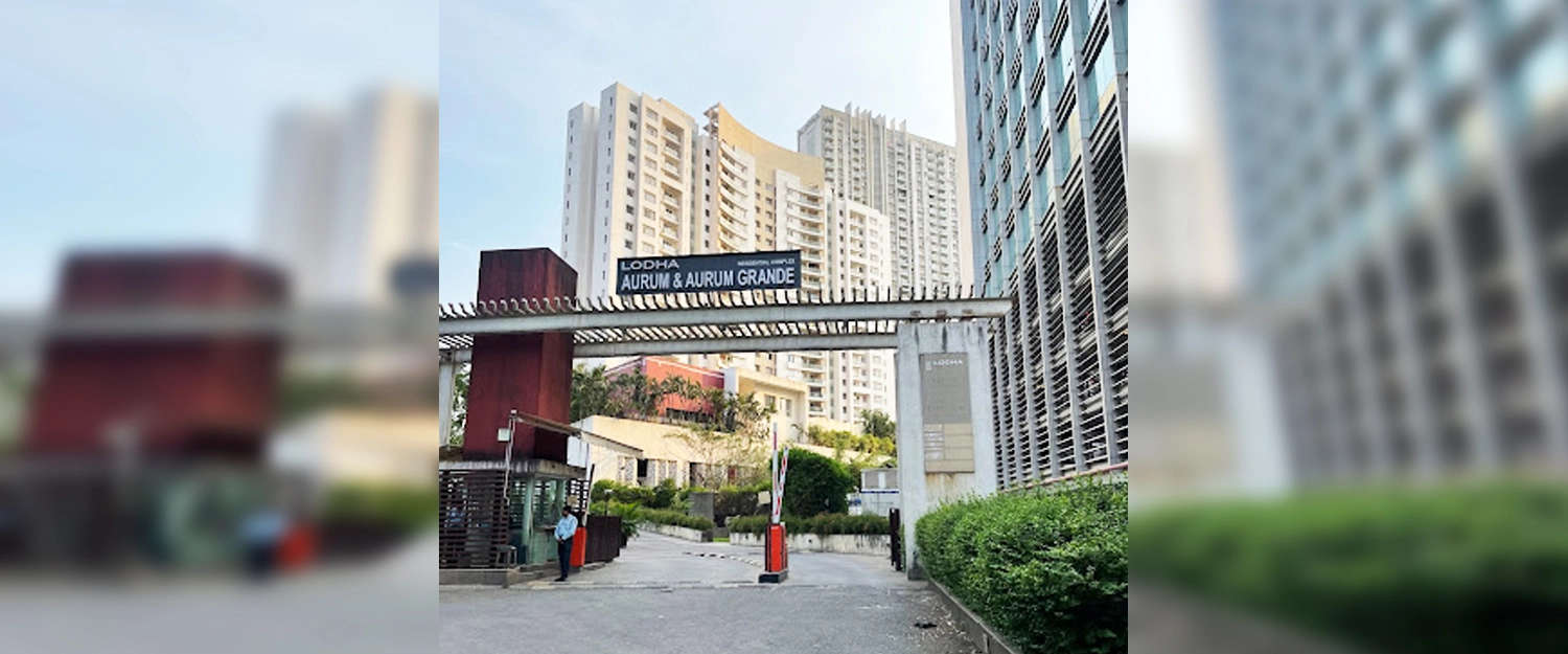 Project Entrance View