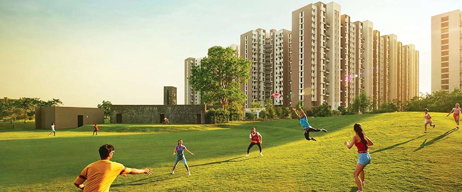 Outdoor Amenities