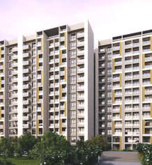 goyal-orchid platinum