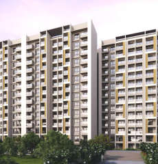 goyal-orchid platinum