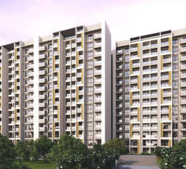 goyal-orchid platinum