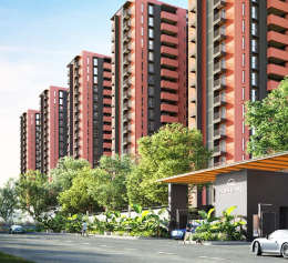 assetz-sora and saki