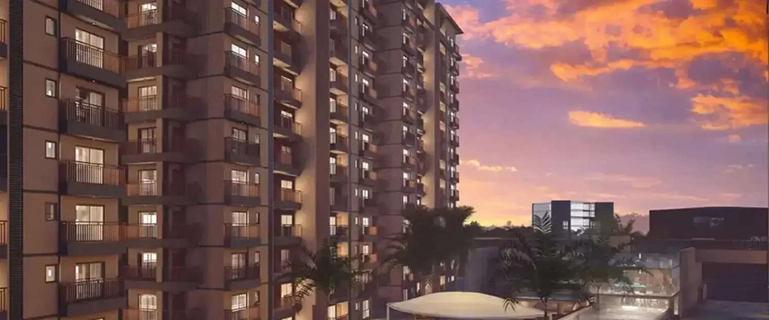 Elevation Image