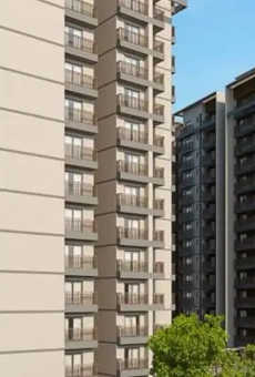 Orchid Lakeview