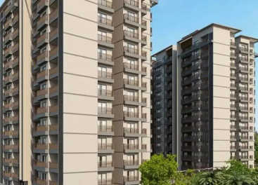 Orchid Lakeview