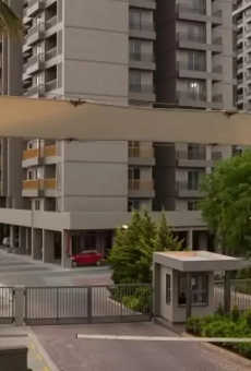 Orchid Lakeview