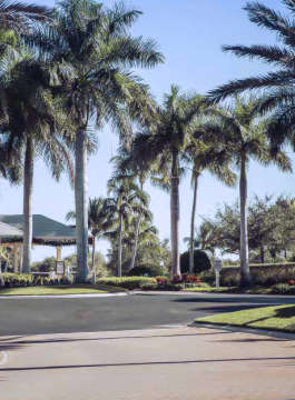 alliance-villa belvedere