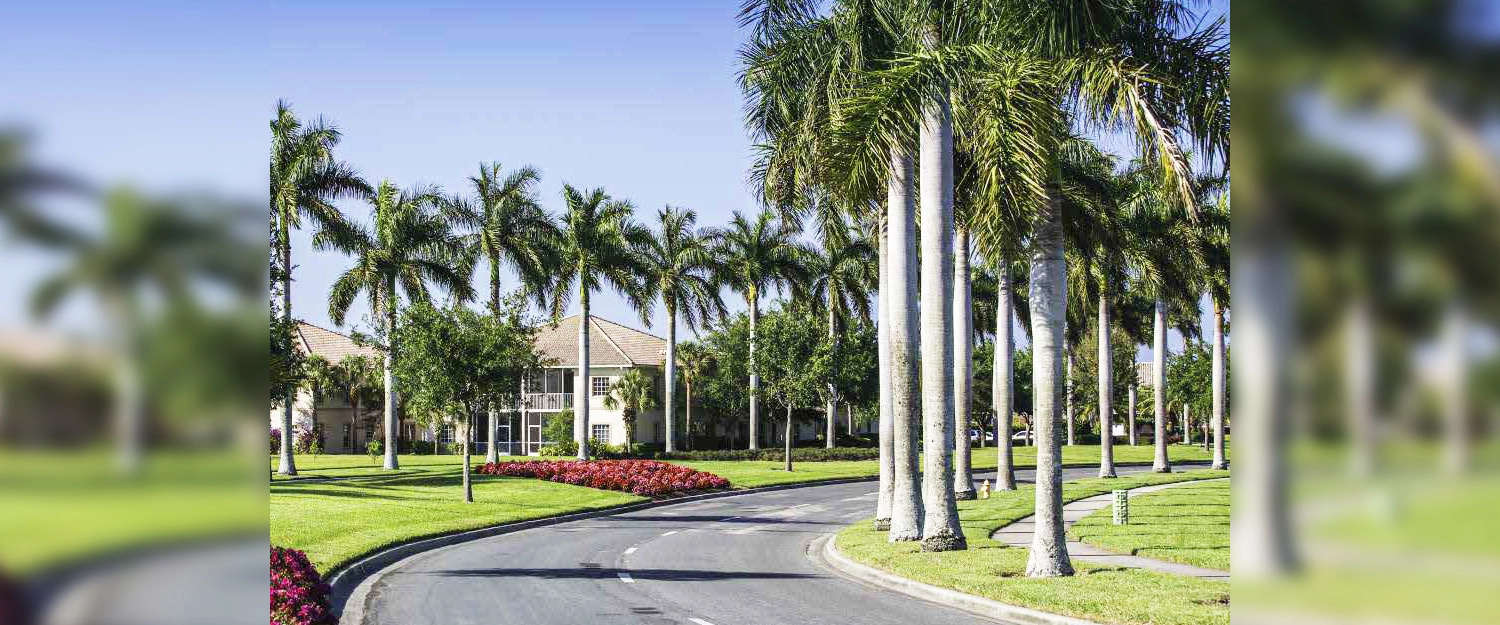 Outdoor Amenities