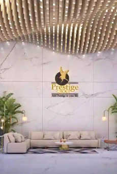 Prestige Daffodils