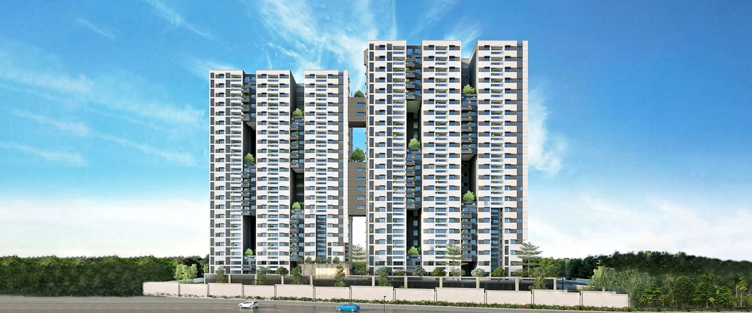 Elevation Image