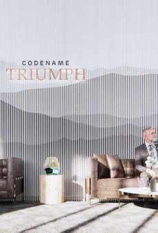 Adani Triumph