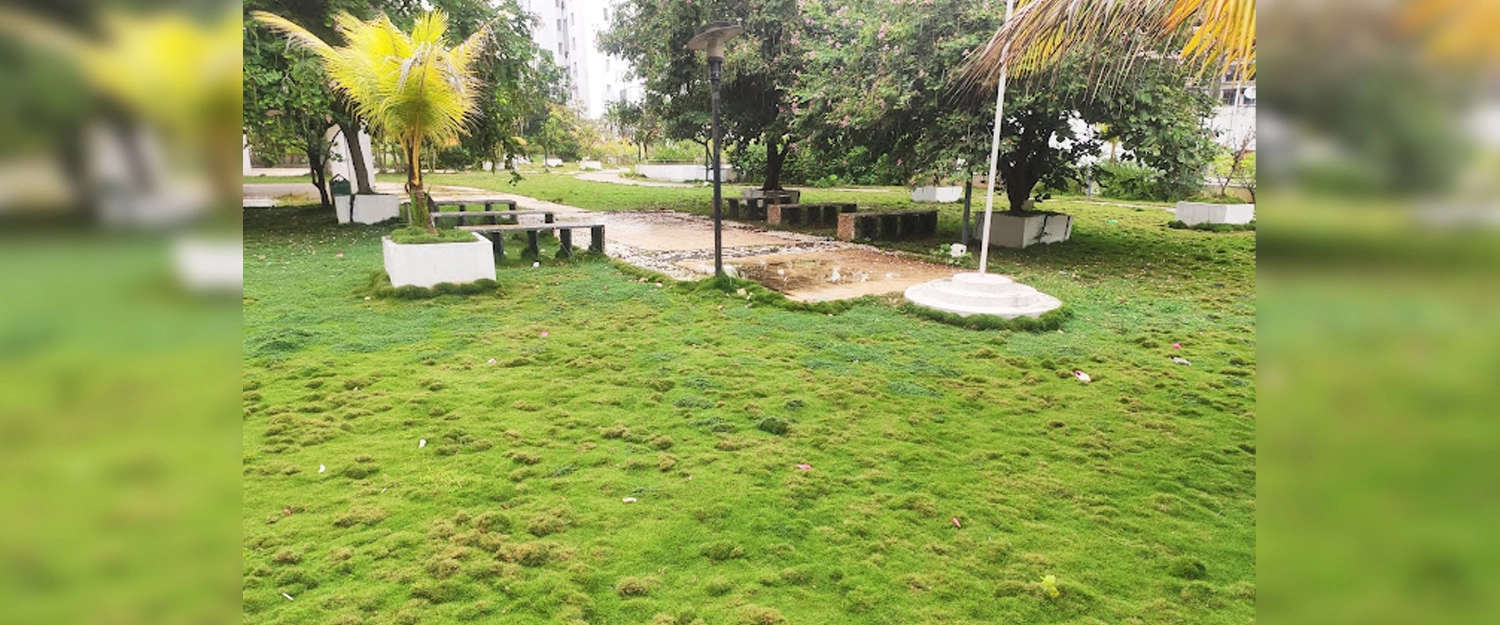 Park