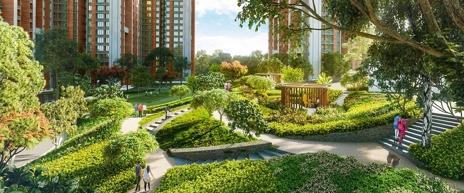 Outdoor Amenities