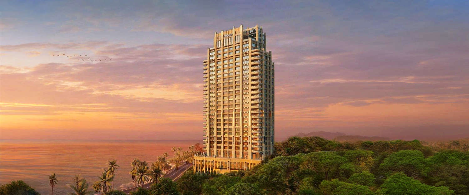 Elevation Image