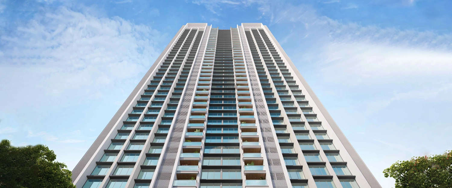 Elevation Image