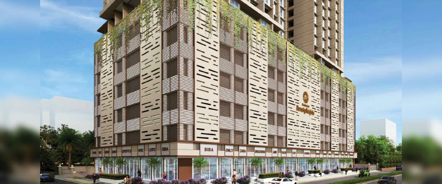 Elevation Image