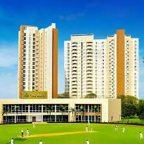 lodha-casa verdura